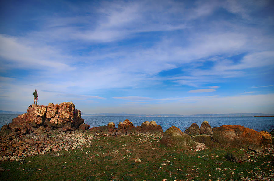 ampomata's tweet photo. "Whatever Tomorrow Brings". Check out this brilliant photo by @LaurieSearch here: https://t.co/T8Bn6nKdsW #art #photo #contemporaryart #ArtistOnTwitter #SanMateo #CoyotePoint #bay #outdoors #coast #California #SanFrancisco https://t.co/jEXxrfKRwx
