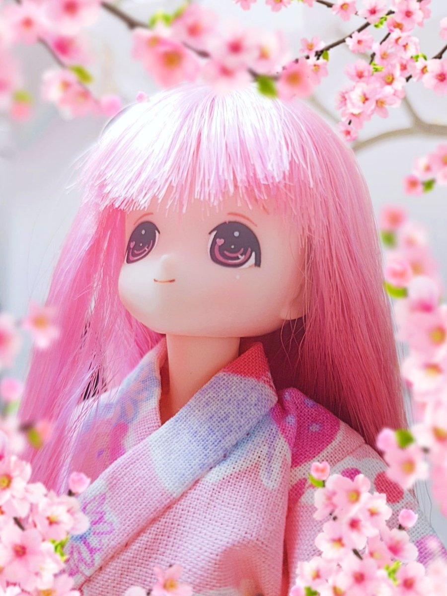 Kikyo91's tweet photo. 🌺🌺🌺🌺
.
.
#えっくすきゅーと #アゾンドール #pureneemo #ドール #chiika #japanesedoll #アゾネット #アゾン #azone #アゾカツ #azonejp https://t.co/wMEBm7t0f9