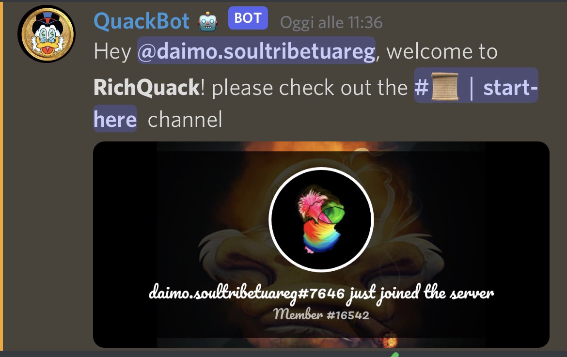 Daimo Studio tweet media