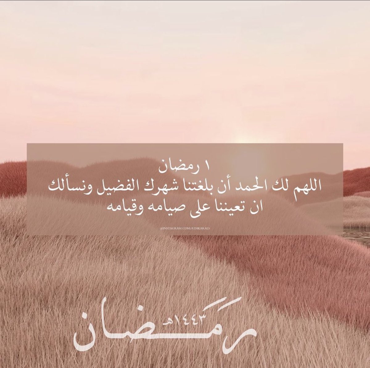 algzel700's tweet image. 