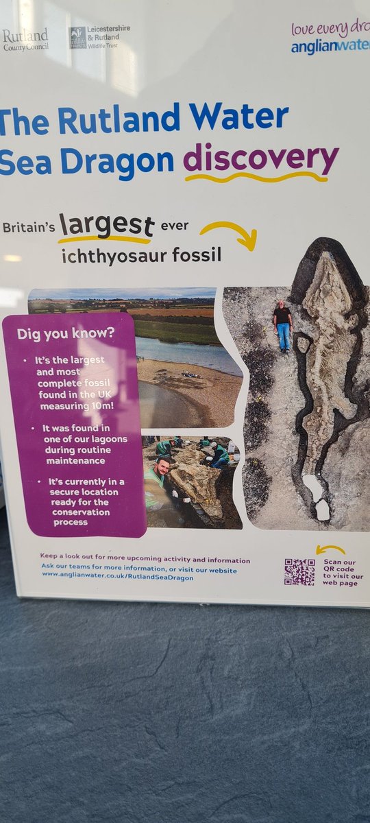 Nice shot of @Dean_R_Lomax on the ichthyosaur poster @LeicsWildlife Rutland. Is @MrIchthyosaurus somewhere in shot too? @J_Redfeather @UoNLifeSci @UoN_BioSoc @BPIuniofnotts @TitBearded