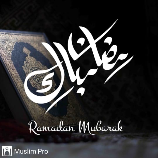 halal_review's tweet photo. https://t.co/eTQZqEx9CB