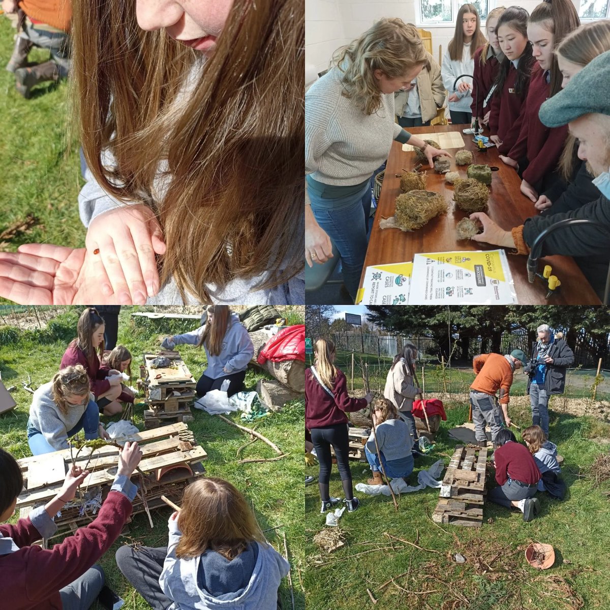 BlakestownCS's tweet photo. We were delighted to be joined by visual artist Eilleen Hutton today. Eileen worked alongside artist Gareth Kennedy and curator Rayne Booth in helping our first year green schools group construct bug hotels which have been placed within the microforest #SuperProjects @fingalarts https://t.co/IpZDOvrEX5