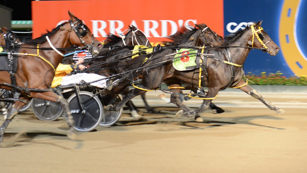 ClubMenangle's tweet photo. Group 3 winning mare Smooth Rye adds another victory to her name, this time in The Dulux Ladyship Stakes for @peterca64. 

Bettor Be Kept and Pearl Harbour NZ finished in second and third. 

@PacingPeterson https://t.co/NxoFMxP11n