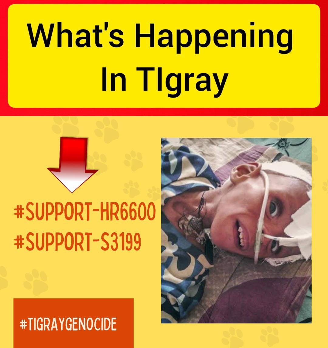 MellathM's tweet photo. #stoptigraygenocide
#StopTigrayFamine
#endoftigraysiege
#tigraysuffer
#TigrayCantWait
#AllowAccessToTigrayNow
#USactnow
#UNactnow
#SupportHR6600
#SupportS3199
We lost more than 200 thousand tigray children because of starvation. https://t.co/vvBsUFXs3O
