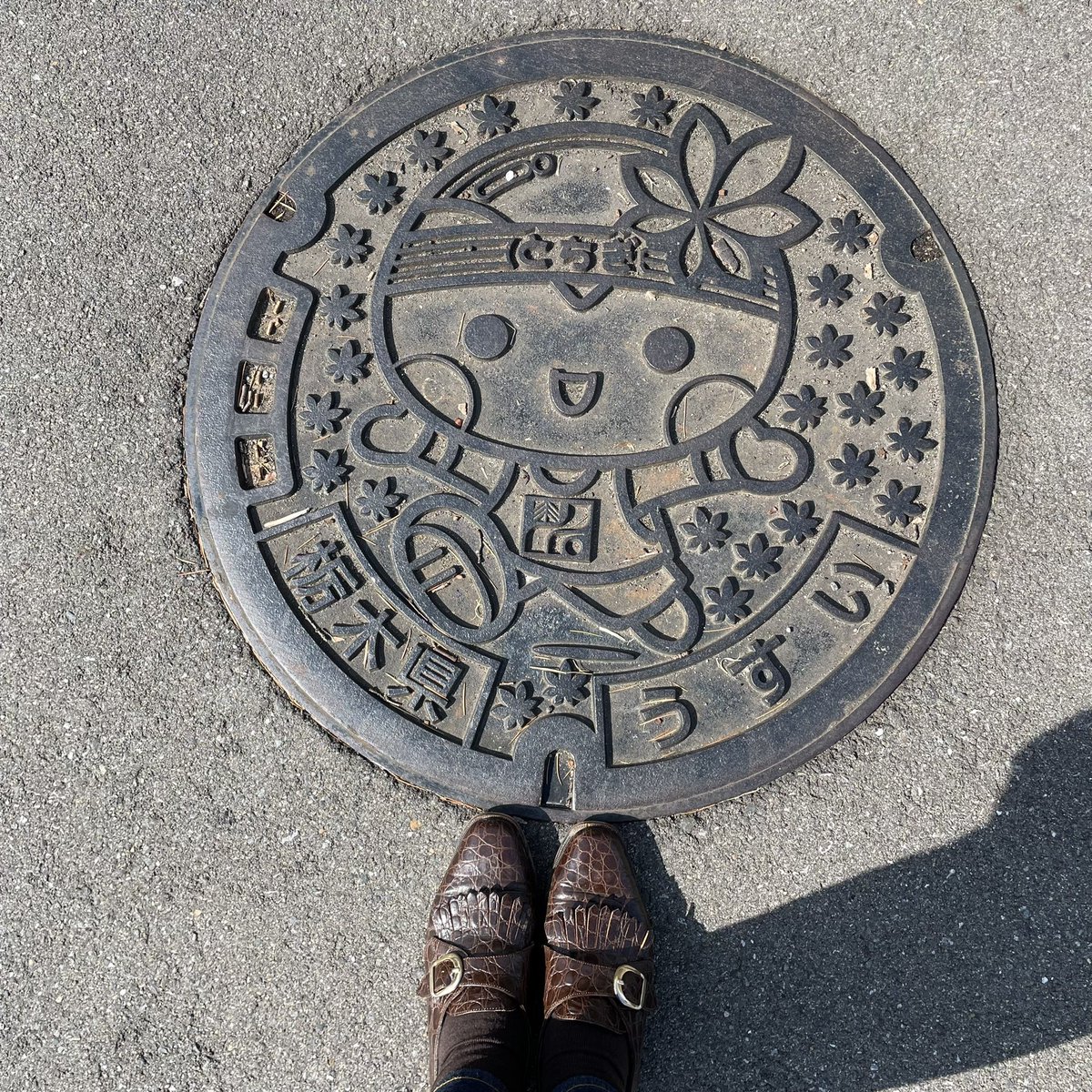 chigucheez's tweet photo. 栃木の桜巡り⑦宇都宮市西川田の総合運動公園へ。桜並木、遊園地、カンセキスタジアムなどをぐるり散策。10月は #いちご一会とちぎ国体 で賑わいます。#CherryTreeLane at Tochigi Sports Park. Opening/closing of 77th Natl Sports Competition in Oct at this stadium.#DiscoverTochigi #sakura2022 https://t.co/5zyVLefema