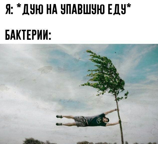 Russian Memes United tweet media