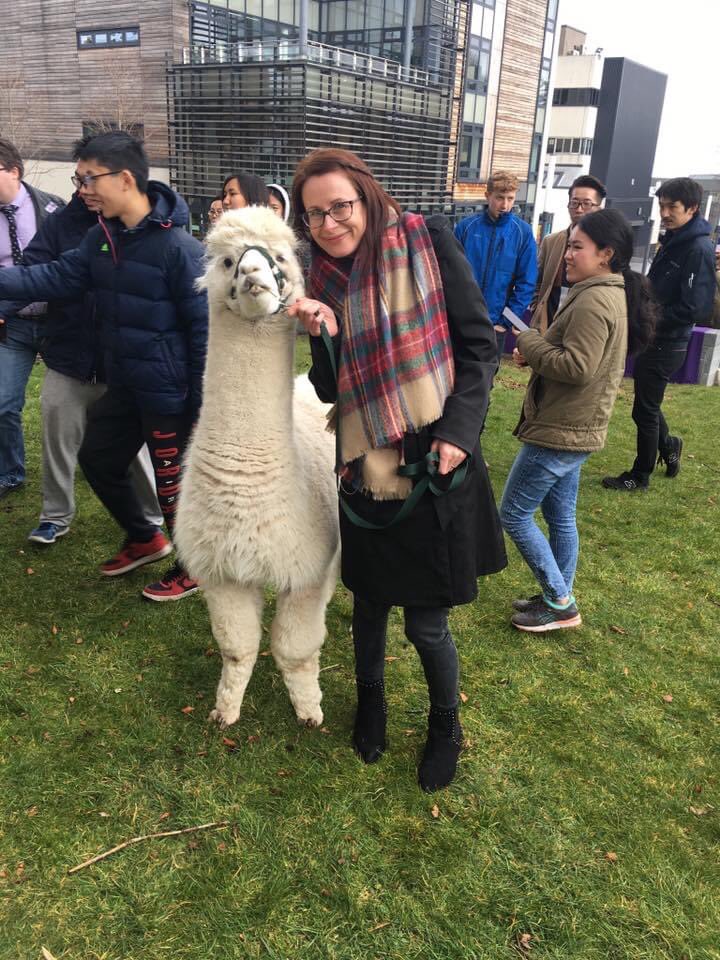 Anouska Curzon tweet media