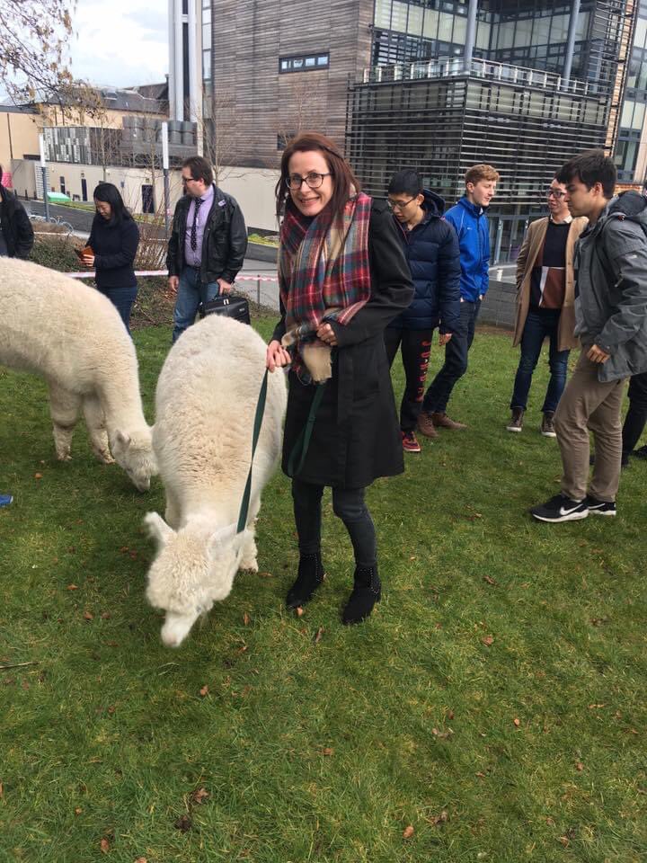 Anouska Curzon tweet media