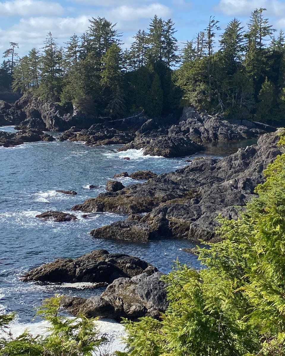 SueTonnesen's tweet photo. @GregorCraigie We enjoyed the same trail this week, too! Beautiful area. https://t.co/OGfuFHSUdf