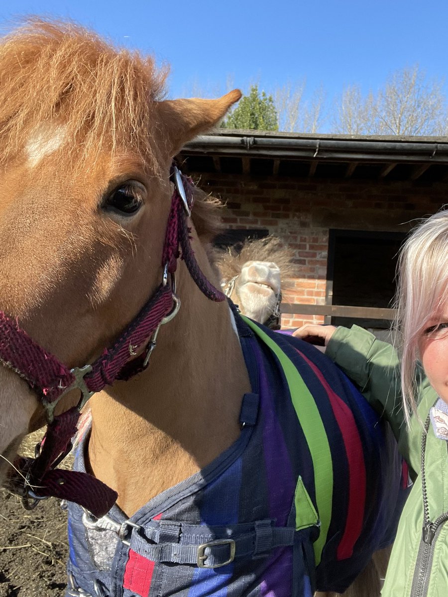 Rabbitminiature's tweet photo. Anyone spot the pretty one photo bombing 🤣 its me ! #photobomb #littlerabbit #tinyponies https://t.co/FS58wyW3Oo