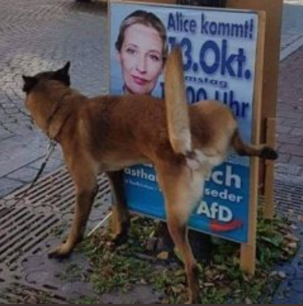 PPMMal's tweet photo. @karlheinz_e Der Schuldige MUSS benannt werden, koste es das Seelenheil. ABER wenn man wie Frl. #ALI_C von der #NS_RUS_ÄfD in einem gutausgestattenten, güldenen Etablissement sitzt, dann kann man seinen Sponsor doch nicht vergällen, dann MUSS es der Erzfeind sein.
Sonst käme ja alles raus... https://t.co/rwfFmkSzWK