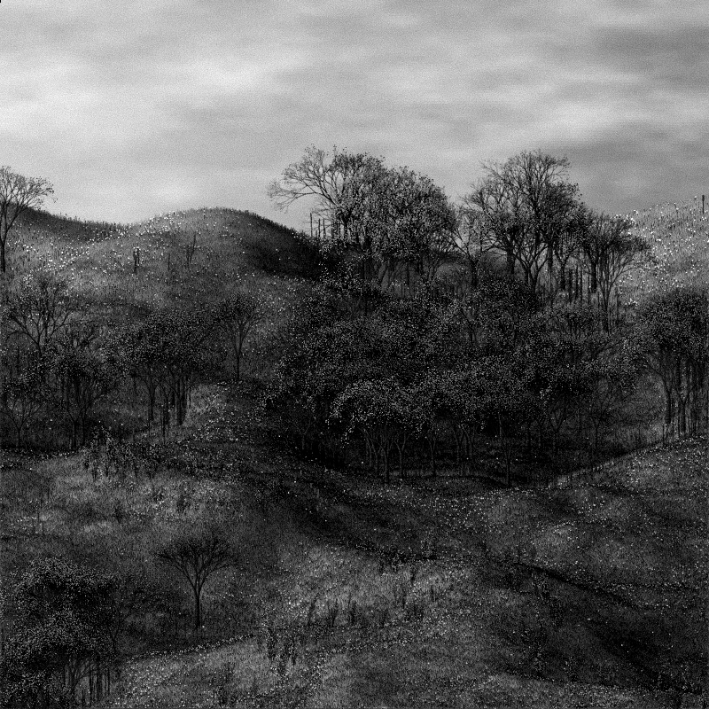 kira0art's tweet photo. #darkart with p5js?🤔 https://t.co/mIXforzcVI