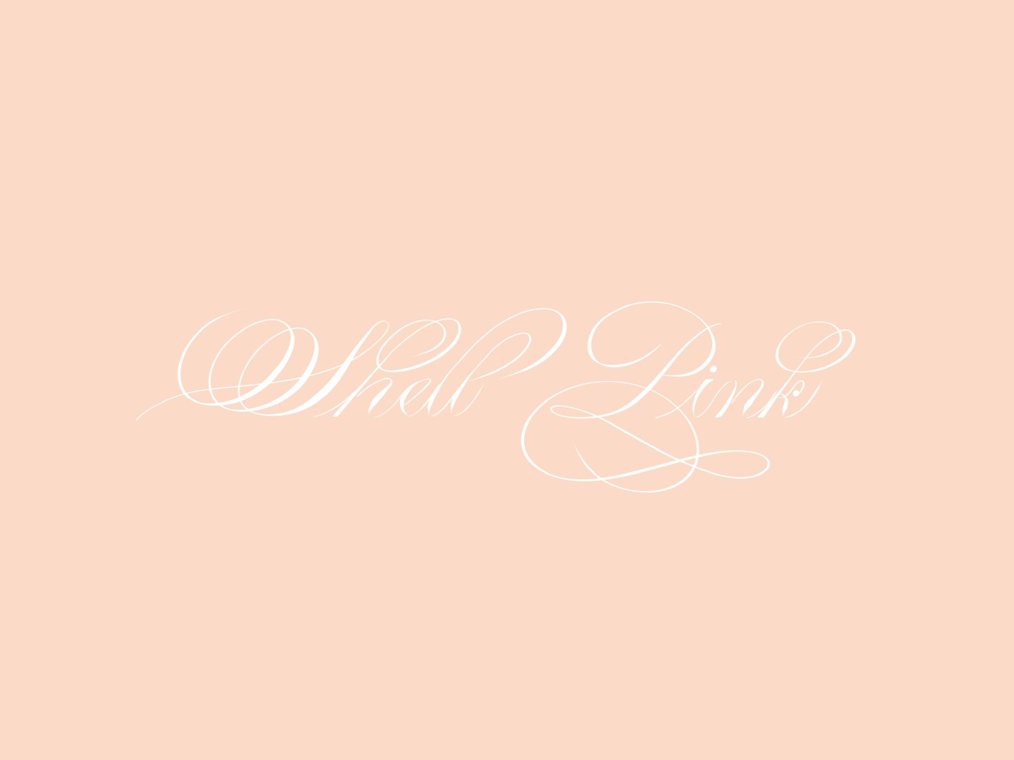 Soothing Calligraphy Hikaru 今日の誕生色 シェルピンク Today S Birth Color Shell Pink 色言葉 詩的情緒 頭脳明晰 純粋 カラーコード Color Code Fbdac8 Calligraphy カリグラフィー 誕生色 手書き文字 Ipad Procreate T Co