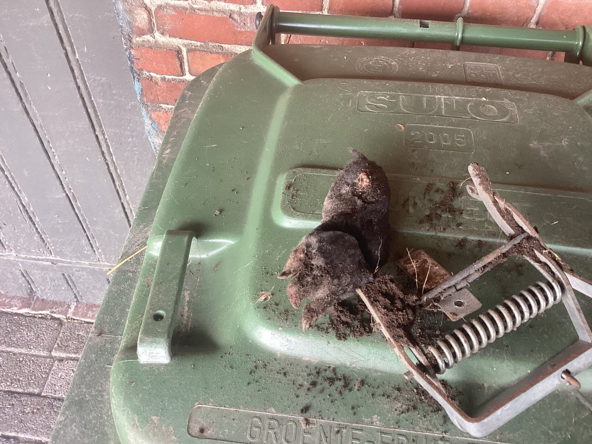 Addelblade's tweet image. Eerste mol gevangen