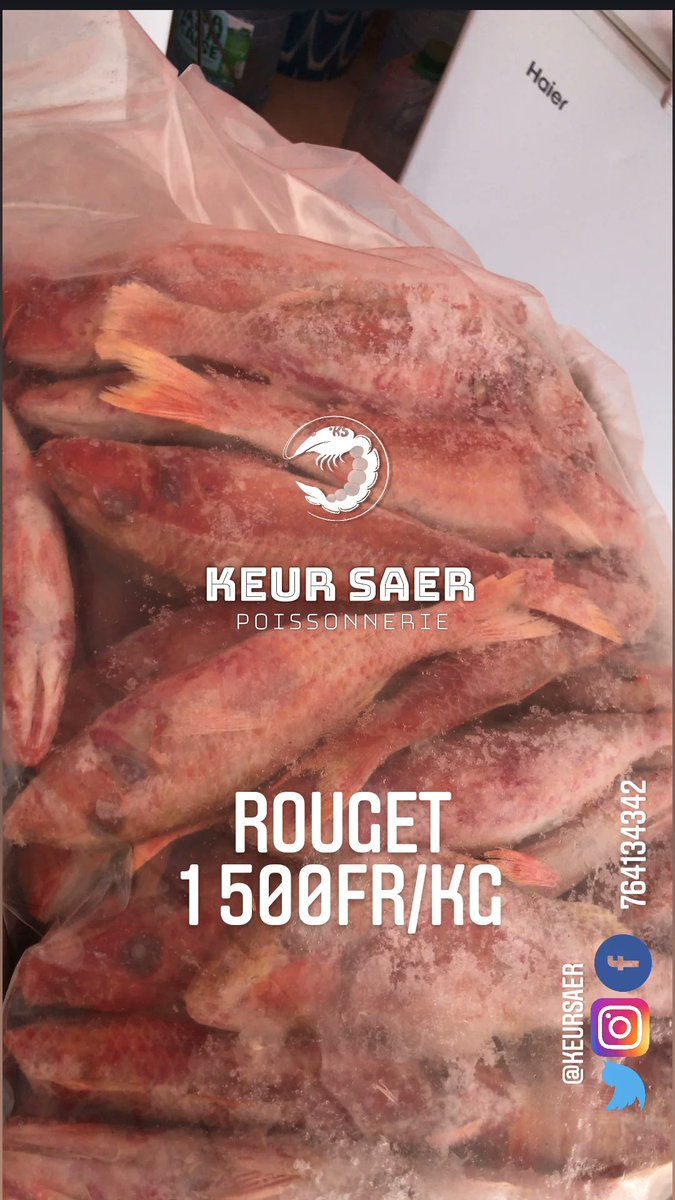 KeurSaer's tweet photo. Hello,
Vous avez déjà fait le plein en poisson ?
Bon week-end ! https://t.co/ShpcXtLKu1