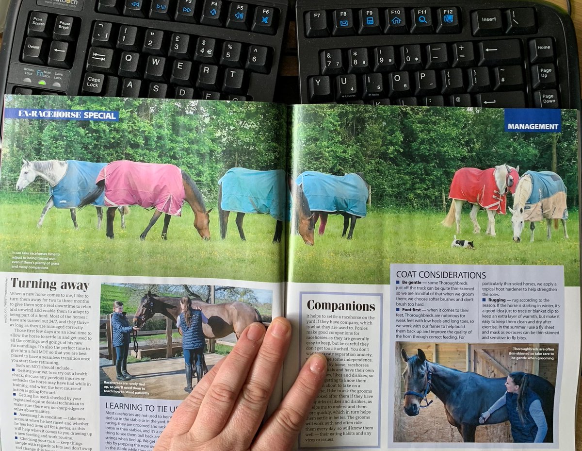 JoSutherst's tweet photo. Thank you @yourhorse for featuring 2 of my photographs in your feature on Ex-Racehorses with @EquestrianClare 

#thoroughbredlyversatile #thoroughbredsofinstagram #thoroughbredmakeover #ottb #ottbsofinstagram #ottblove #exracehorse #exracehorsesofinstagram #retrainingofracehorses https://t.co/wbppWGn6Vh