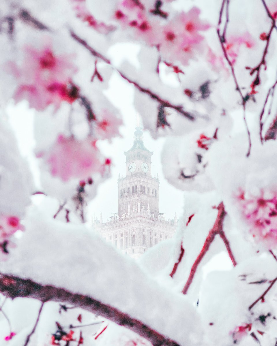 hashtagalek's tweet photo. Zrobiłem zdjęcia w tym samym miejscu, by porównać wiosnę w przeciągu 24h 🌸☀️❄️

Trochę abstrakcja https://t.co/JV5JkIQHX9
