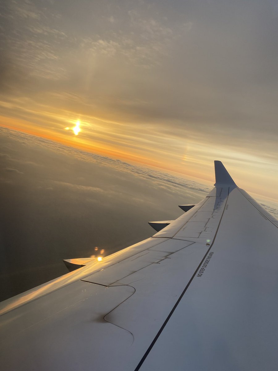 내사랑 서귀포 ❤️ 춘식이랑 하르방 라이언 을 안데리고왔구나…. ㅠㅠ #시디 #cd #男の娘 #女装男子 #여장남자 #시디돔 #펨돔 #쉬멜 #트랜스젠더 #bbw #비떱 #육덕시디 #건오 #오프 #sissy #femboy