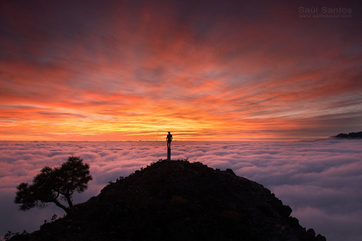 Mientras ayer teníamos un día gris y polinizo por toda la isla, en uno de los puntos más bonitos de nuestras cumbres y sobre el mar de nubes, disfrute de este atardecer, subido en el punto geodésico de el Pico Bejenado. Isla de La Palma 
#lapalma #sunset #nature #landscape