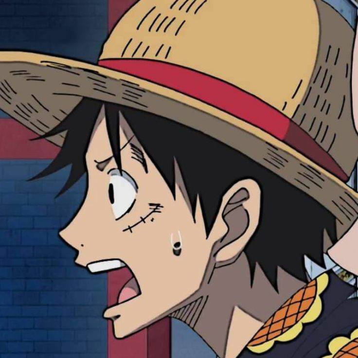LuffyHourly's tweet photo. https://t.co/jGgLvELYjh