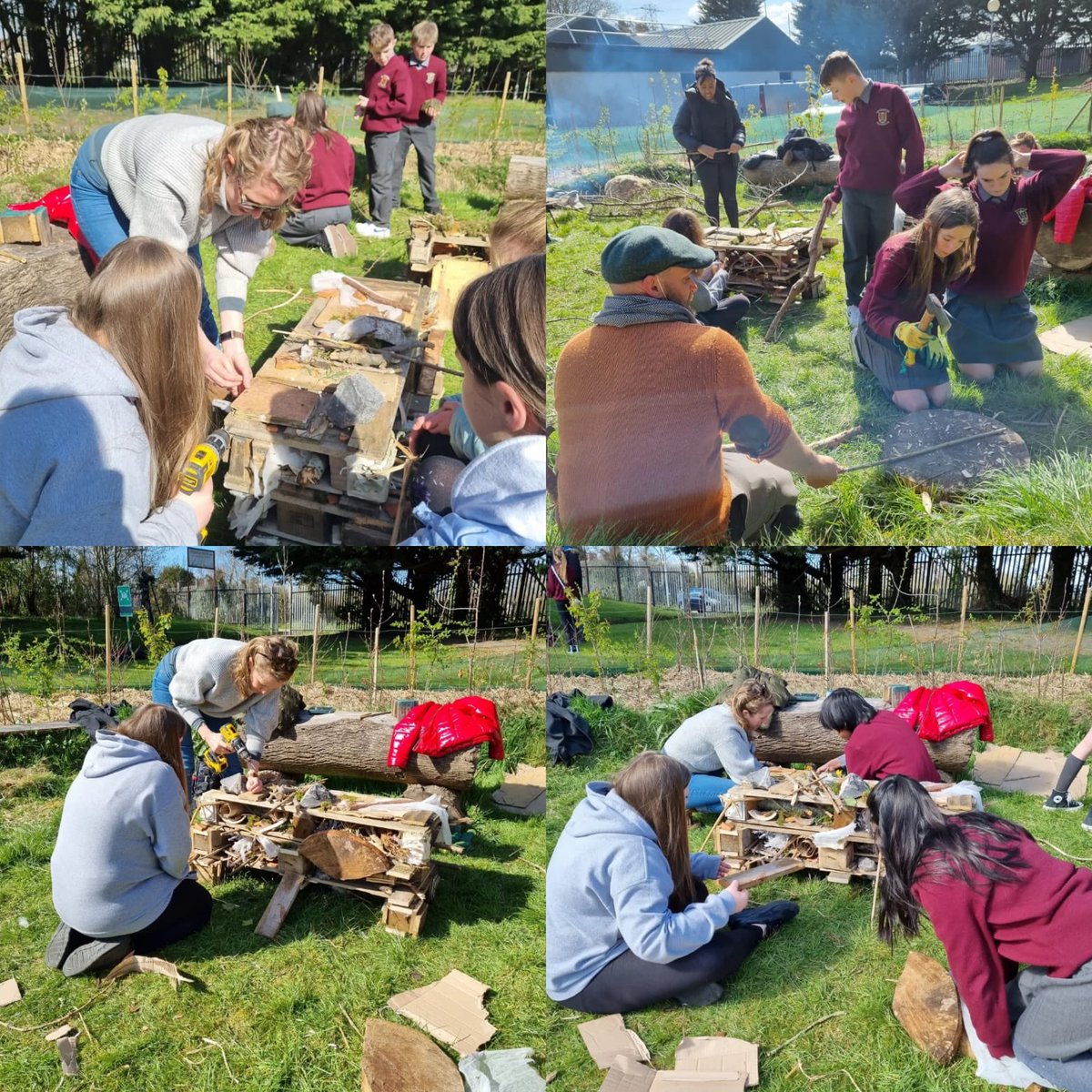 global_bcs's tweet photo. We were delighted to be joined by visual artist Eilleen Hutton. Eileen worked alongside artist Gareth Kennedy and curator Rayne Booth in helping our first year green schools group construct bug hotels which have been placed within the microforest #SuperProjects @fingalarts https://t.co/J6bh2pAib9
