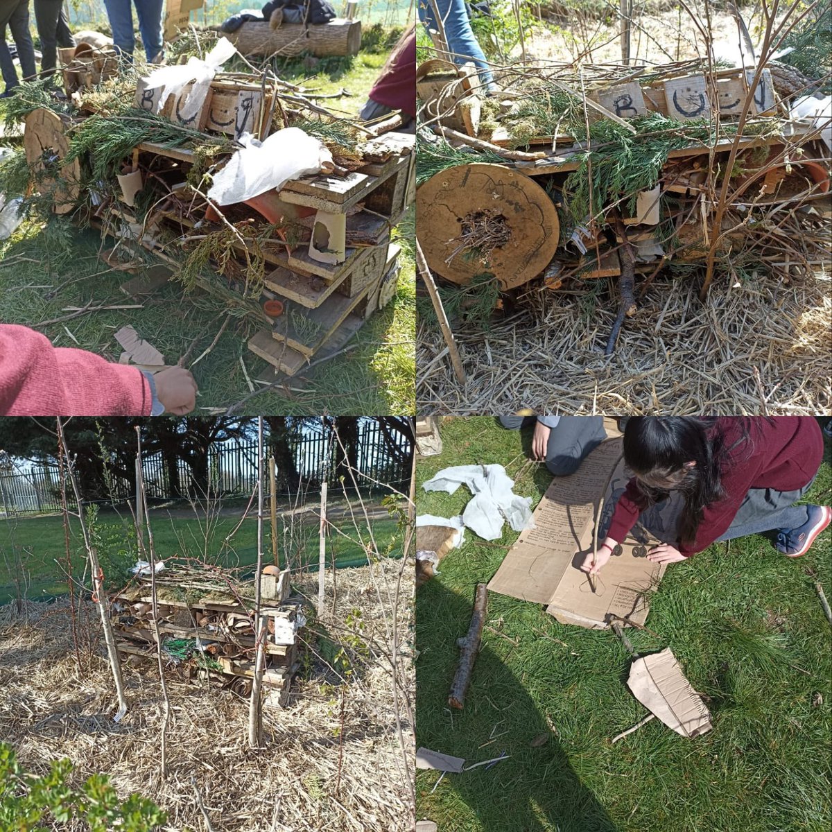 global_bcs's tweet photo. We were delighted to be joined by visual artist Eilleen Hutton. Eileen worked alongside artist Gareth Kennedy and curator Rayne Booth in helping our first year green schools group construct bug hotels which have been placed within the microforest #SuperProjects @fingalarts https://t.co/J6bh2pAib9