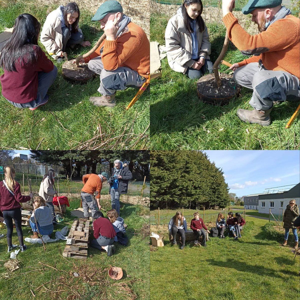 global_bcs's tweet photo. We were delighted to be joined by visual artist Eilleen Hutton. Eileen worked alongside artist Gareth Kennedy and curator Rayne Booth in helping our first year green schools group construct bug hotels which have been placed within the microforest #SuperProjects @fingalarts https://t.co/J6bh2pAib9