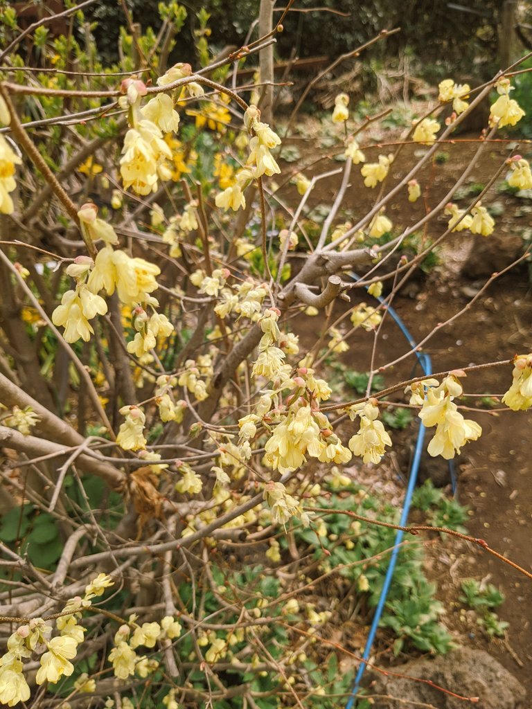 日向水木 Twitter Search Twitter