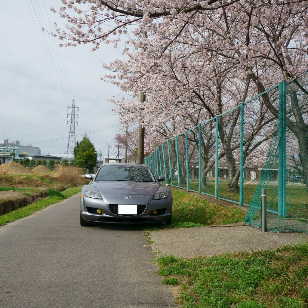 kamisyan_'s tweet photo. もうこんな季節になりましたね。
#ファインダー越しの私の世界
#ilce6000 https://t.co/C0zE7hIT8J https://t.co/dijB0h8lKn