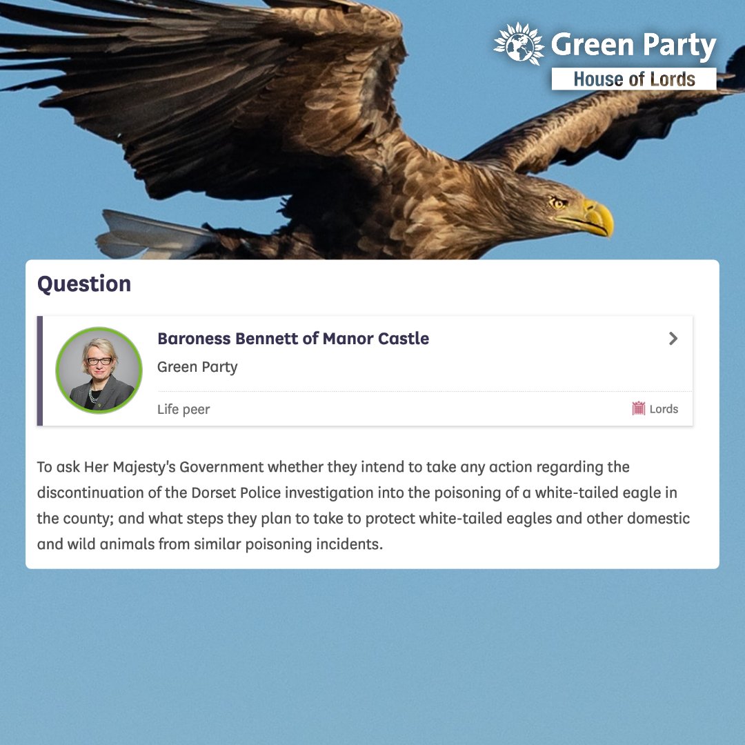 natalieben's tweet photo. I've asked #Government what they plan to do about recent eagle poisonings and their plans to protect wild animals from similar incidents.
Looking forward to their response.
@RaptorPersScot #HouseofLords https://t.co/lzFzoykieB