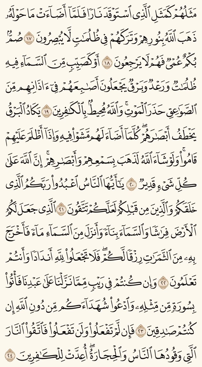 محمد tweet media