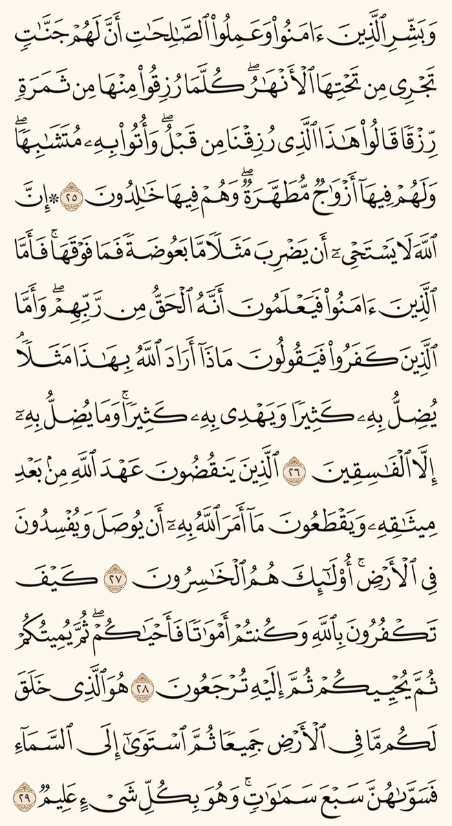 محمد tweet media