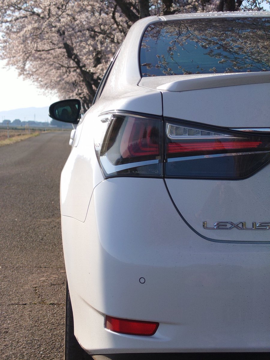 LEXUS_GS200t's tweet photo. 桜が満開でとても綺麗でした🤗

#レクサス 
#Lexus 
#GS200t https://t.co/RS2Uy2p850