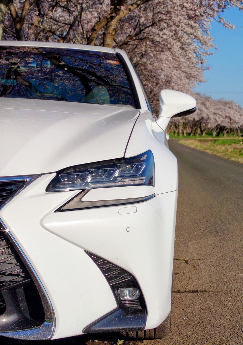 LEXUS_GS200t's tweet photo. 桜が満開でとても綺麗でした🤗

#レクサス 
#Lexus 
#GS200t https://t.co/RS2Uy2p850