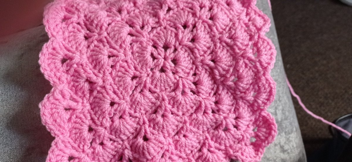 ShelaghPurvis's tweet photo. Coming on nicely 💕💕💕 https://t.co/Nm6DUi7YpX