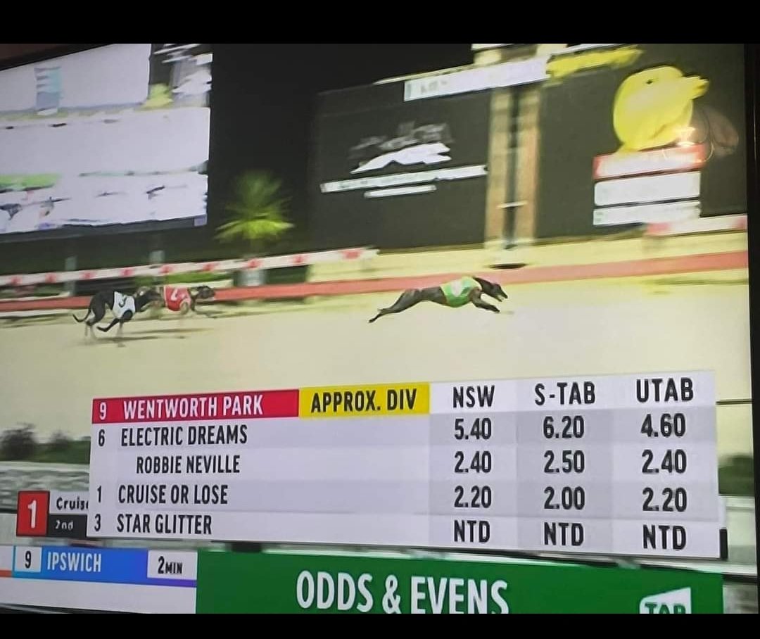 AdrianAllan14's tweet photo. Yes , we just won at Wenty @RCRGREYS Well done Robbie and Lexi, you do us proud with every run #welldone #winner 🥰 https://t.co/ME0xmOLmMB
