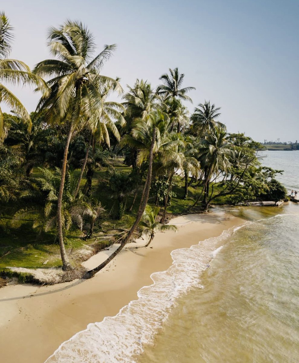 culture241's tweet photo. Le paradis sur terre? Pointe Denis, Libreville 🇬🇦
📸 : Spaymant, From Gabon
#Culture241 https://t.co/XNRQD4qlD8
