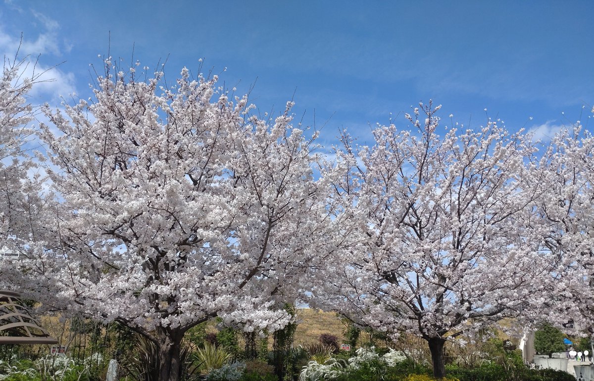 みんなの スカイガーデン 口コミ 評判 食べたいランチ 夜ごはんがきっと見つかる ナウティスイーツ