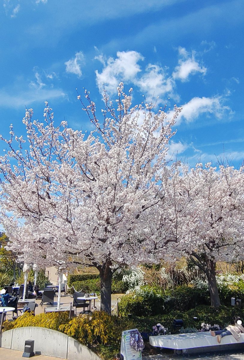 みんなの スカイガーデン 口コミ 評判 食べたいランチ 夜ごはんがきっと見つかる ナウティスイーツ