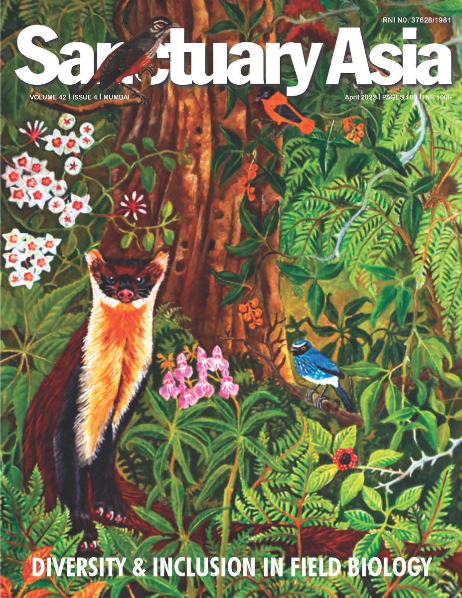 SanctuaryAsia's tweet photo. In this issue, we highlight the work of women-identifying conservationists, researchers, and field staff who are protecting the #future of our #planet in diverse ways, despite barriers of #patriarchy and tradition being a constant thorn in their side. 

https://t.co/BMn6atbI3s https://t.co/CaYS537sW1