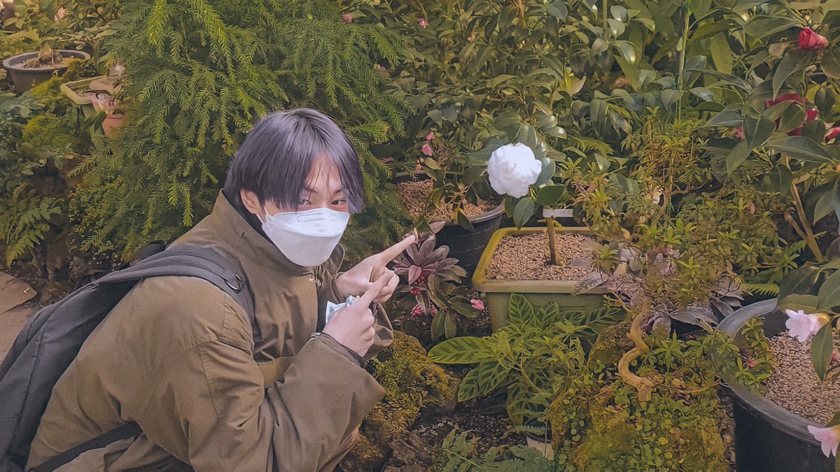 ENHYPEN PICS tweet media