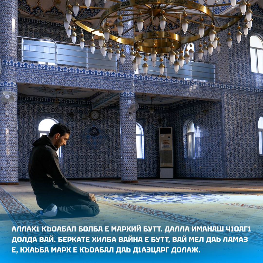 Soltmurad Bakaev tweet media