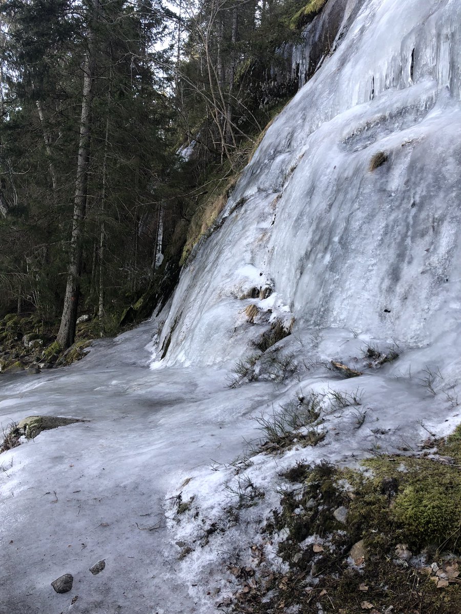 SurdegenS's tweet photo. 🍞GM … Only 6 hours hike left! Be nice to people around you, everyone have their own problems to handle! 🍞
#neeStory #WatchTheTime #BuzzingFlies #woodshroomretreat #DAC
⚠️ NOT 4 REAL 4 FUN⚠️ https://t.co/doJdRyVhb0