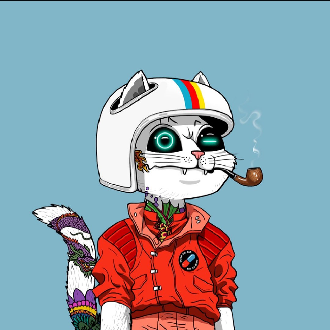 jimbo00007's tweet photo. MARS CAT #7673 ready for take off 🚀 👨‍🚀 👩‍🚀 #MCV #MarsCatsVoyage https://t.co/r2ItzOeodO