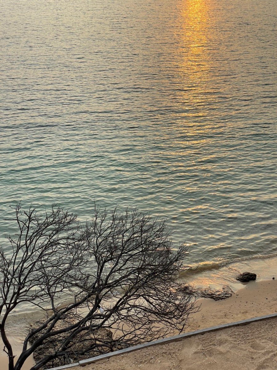bjauntanywhere's tweet photo. Akina beach : ที่พักเกาะล้านพึ่งเปิดเมื่อปลายปีที่แล้วเป็นบ้านพักเล็กๆมี 3 ห้องทุกห้องเป็น sea view ติดหาดและมีสระส่วนตัว sunrise ดีมาก เราจะได้เห็นวิวพระอาทิตย์ขึ้นจากบนเตียงและ city view ฝั่งพัทยาด้วย ประทับใจมาก น้องพนง.บริการดีมากแฮปปี้สุด 🌞🌊🥂✨ https://t.co/oBxe5mAmvL