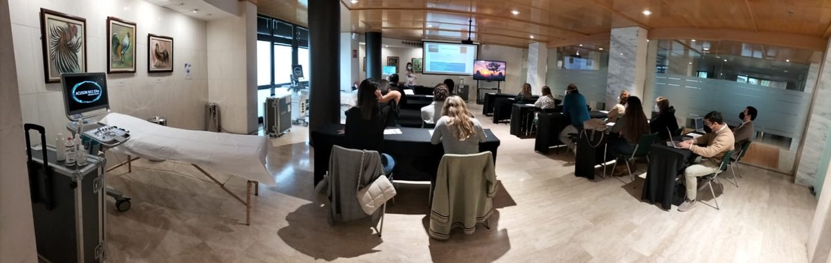 SIEC_ecografia's tweet photo. Hoy os enseñamos imágenes de nuestro curso de iniciación en ecografía de urgencias realizado el pasado sábado en #Tenerife, impartido por las Dras. @Montsemm11  y Cristina Niño con la colaboración de Siemens @Tecmedica  | #formacioncontinuada #ecografiaclinica https://t.co/d1Eo8hzGf0