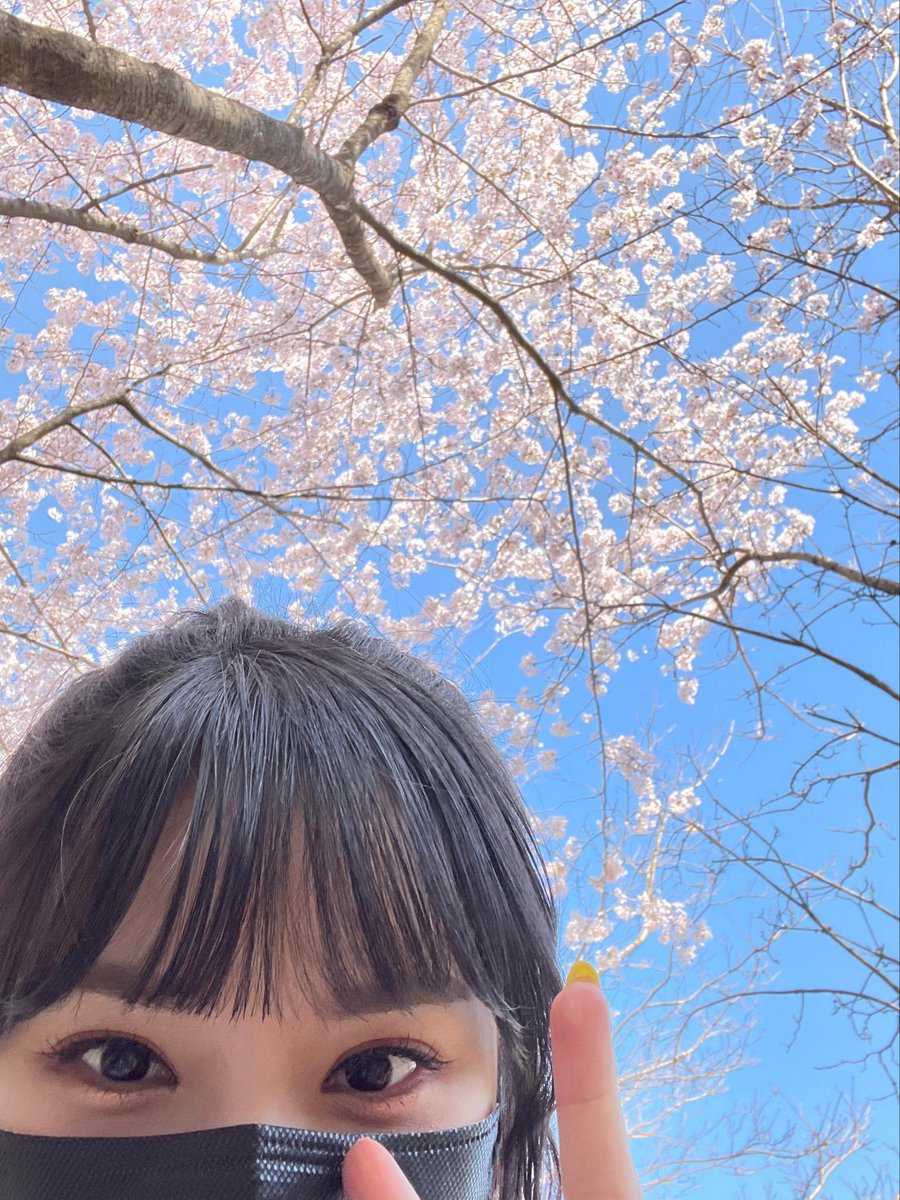 GFS_backup's tweet photo. [PIC] 220402 - Eunha Universe FNS

🐰I saw it too

#여자친구 #GFRIEND #비비지 #VIVIZ #은하 #EUNHA @VIVIZ_official https://t.co/8O5igB9LxB