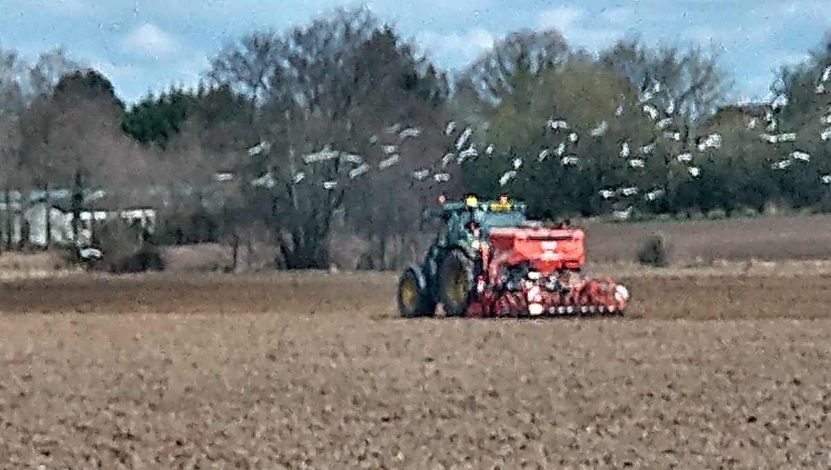 Seed drilling in Wigan - can't wait for the green and gold we will have this spring and summer.