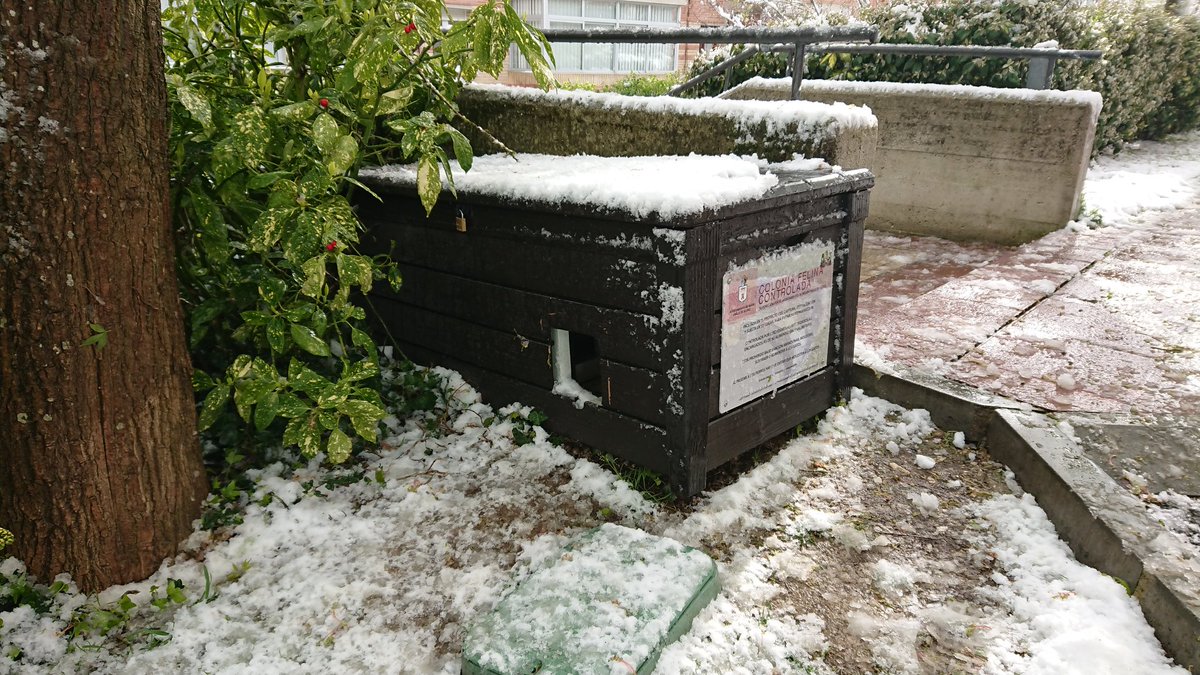 Colonias_Noain's tweet photo. En días de temporal 🌨️ es más importante aún si cabe, acudir a las colonias y dejar a los gatetes provistos de alimento suficiente y agua.
#ColoniasFelinas #gatos #Nieve #Noáin #Navarra #AdopciónResponsable https://t.co/xns7Z9Wwiy